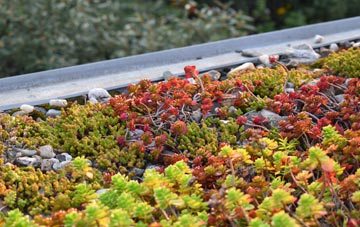 the cost of Auchinairn green roof installation