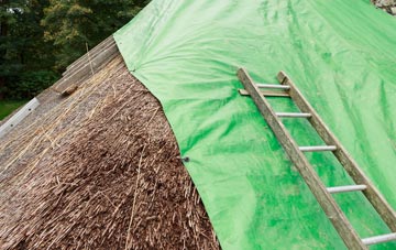 maintaining Auchinairn thatch
